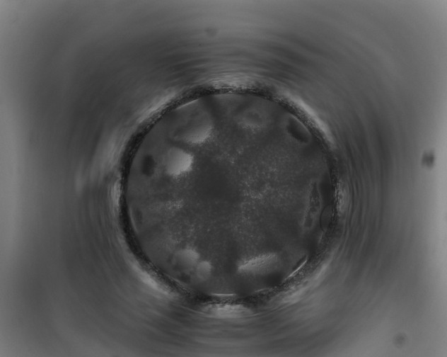 X0000101100637200807031751