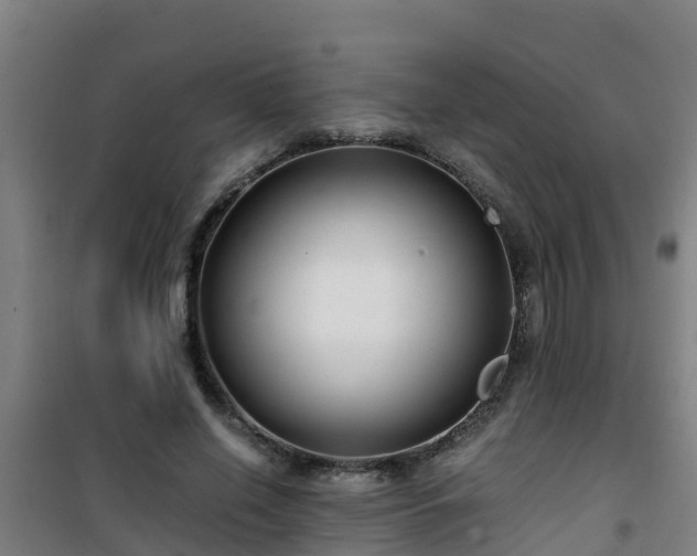 X0000101100638200807031751