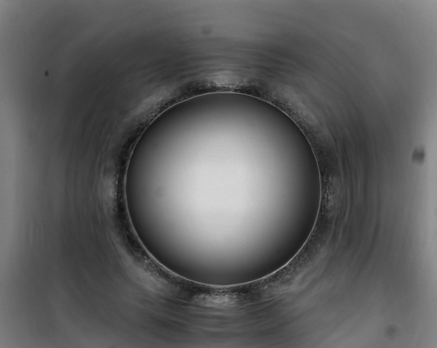 X0000101100639200807031751
