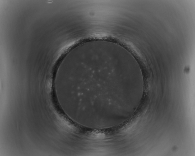 X0000101100640200807031752