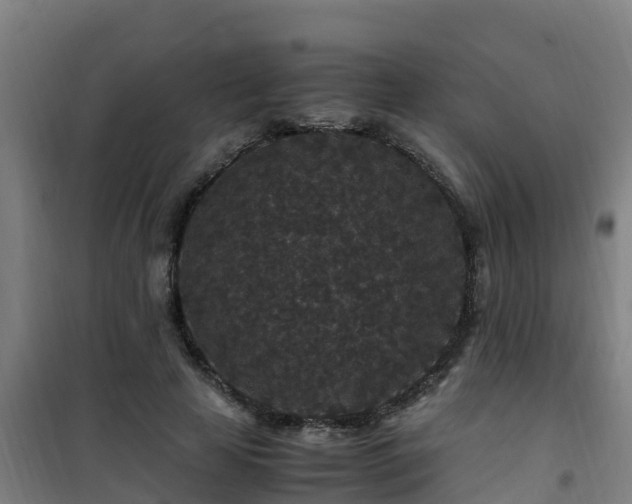 X0000101100641200807031752