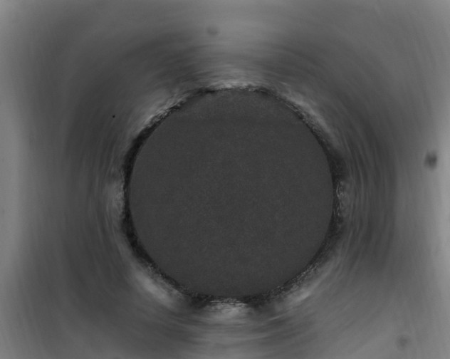 X0000101100642200807031752