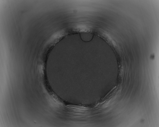 X0000101100643200807031752
