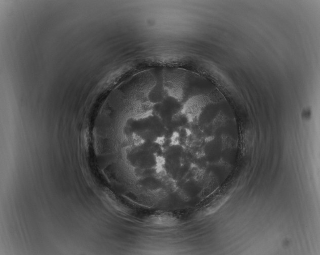X0000101100644200807031752