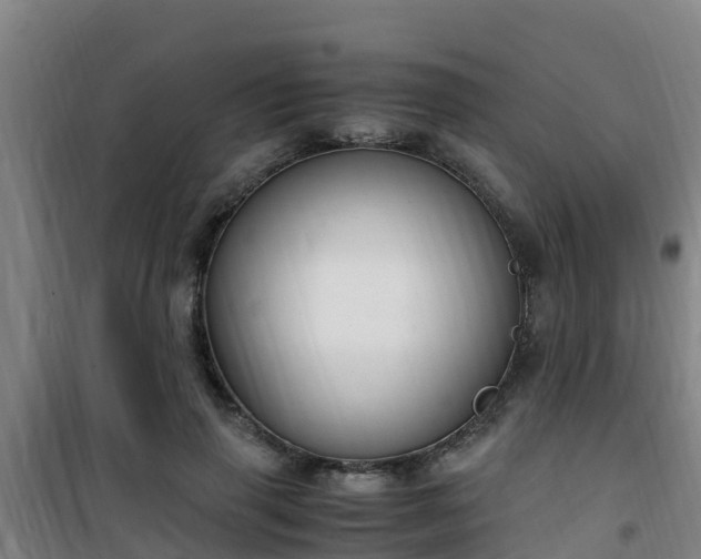 X0000101100645200807031752