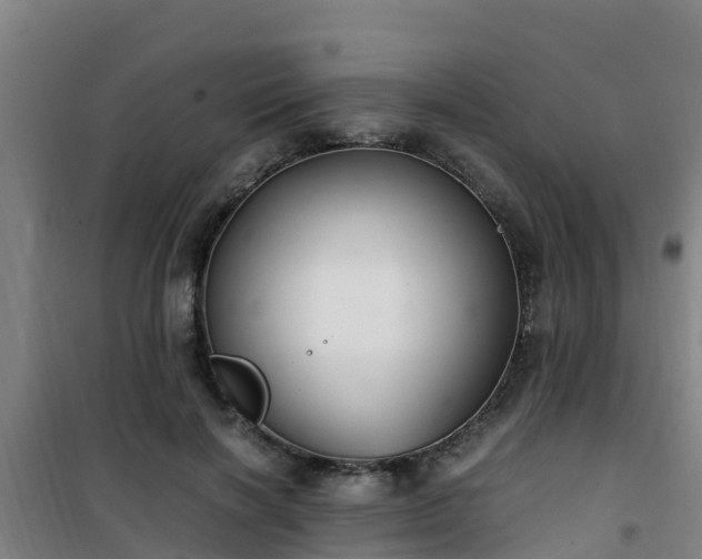 X0000101100646200807031752