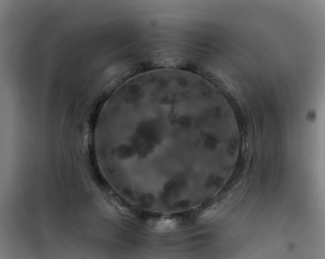 X0000101100647200807031752