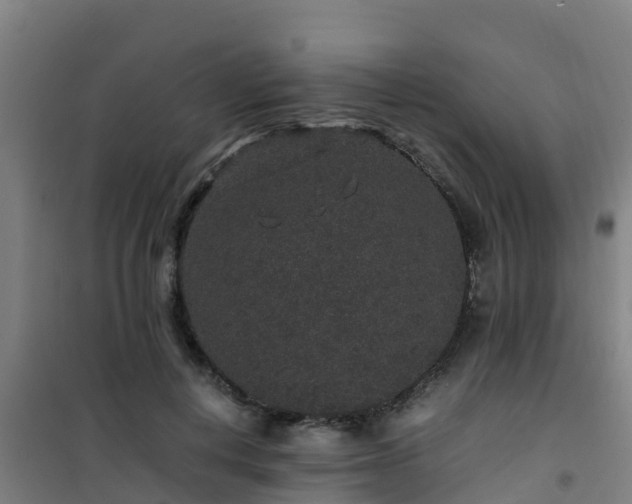 X0000101100648200807031752