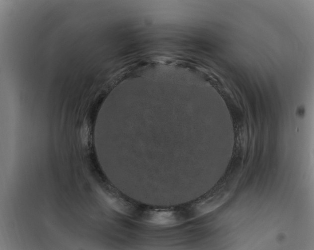 X0000101100651200807031752