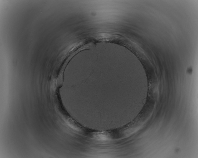 X0000101100652200807031752
