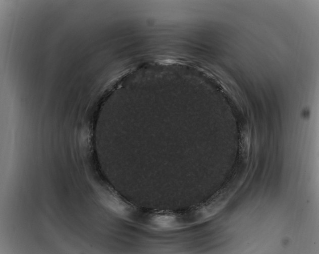 X0000101100653200807031752