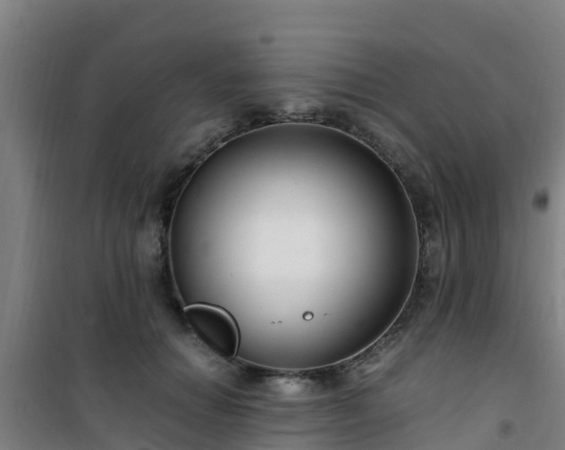 X0000101100654200807031752