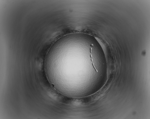 X0000101100656200807031752