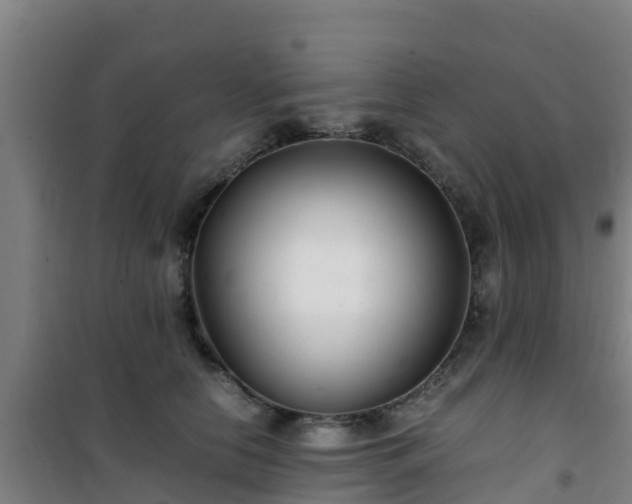 X0000101100658200807031752