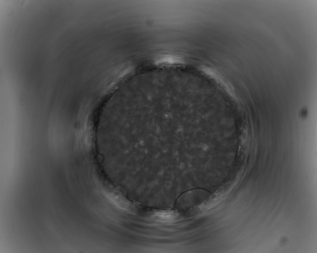 X0000101100659200807031752