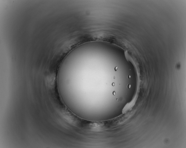 X0000101100660200807031752