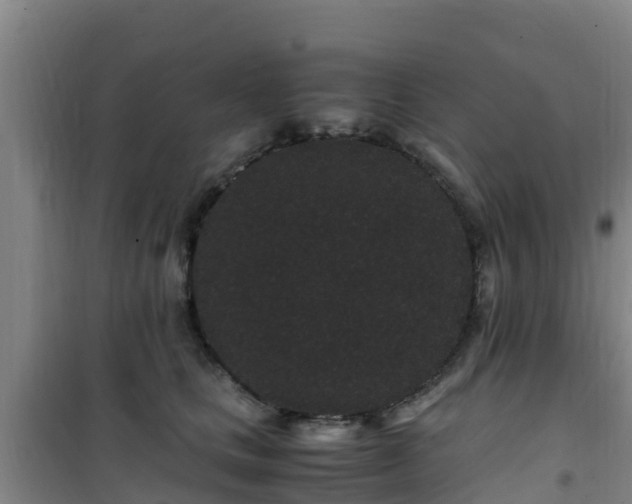 X0000101100661200807031752