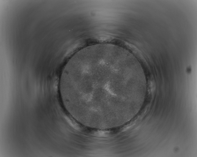 X0000101100664200807031752