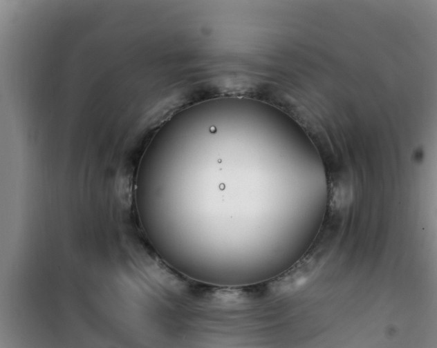 X0000101100666200807031752