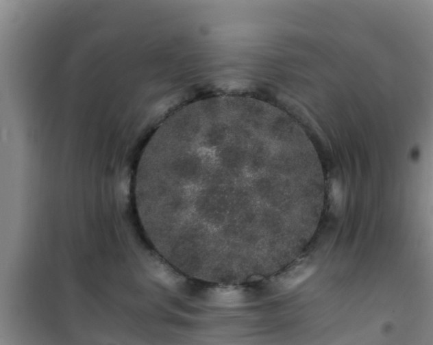 X0000101100668200807031752