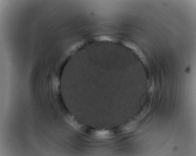 X0000101100669200807031752