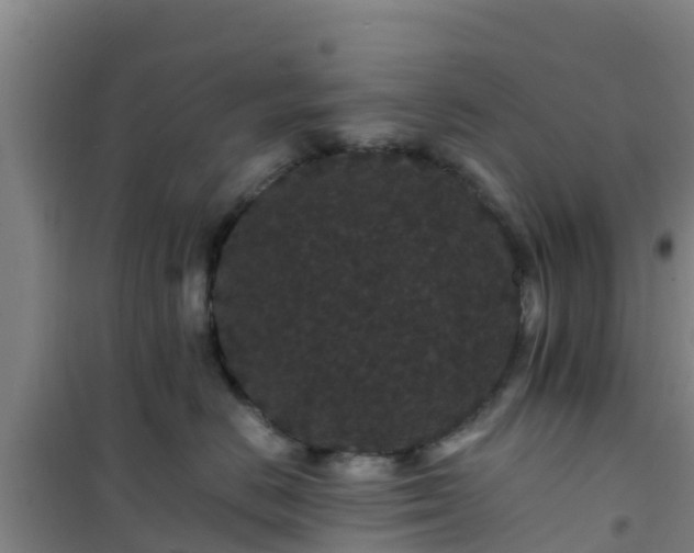 X0000101100670200807031752