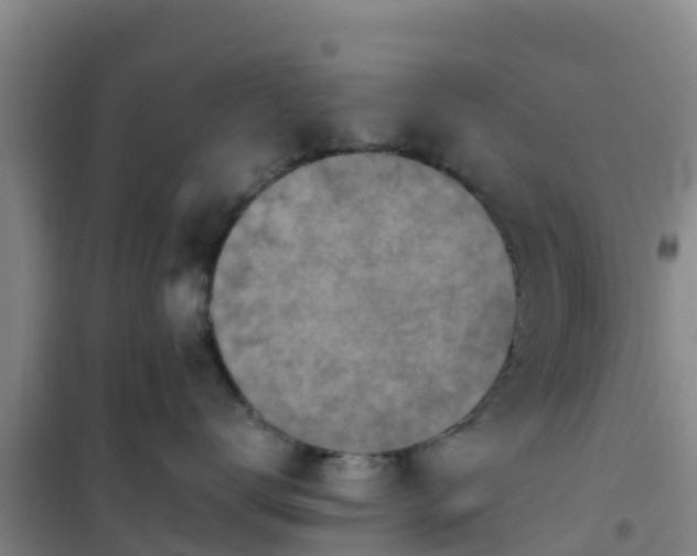 X0000101100672200807031752
