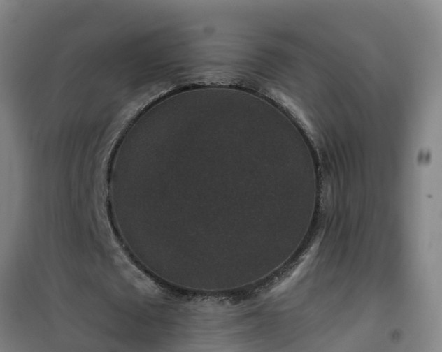 X0000101100673200807031751