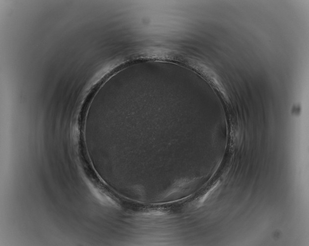 X0000101100674200807031751