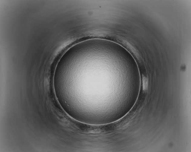 X0000101100675200807031751