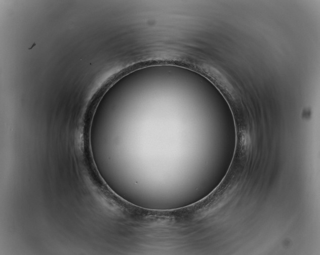 X0000101100676200807031751