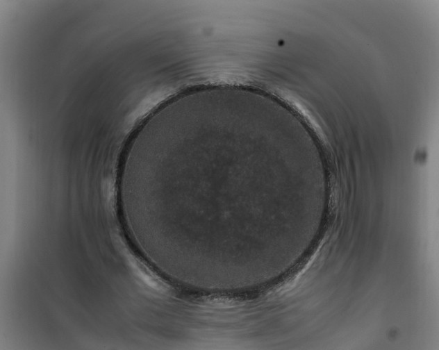 X0000101100677200807031751