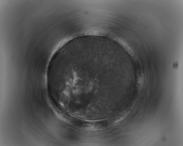 X0000101100678200807031751