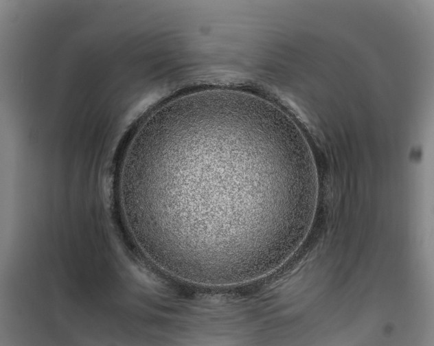 X0000101100679200807031751