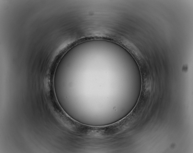 X0000101100680200807031751