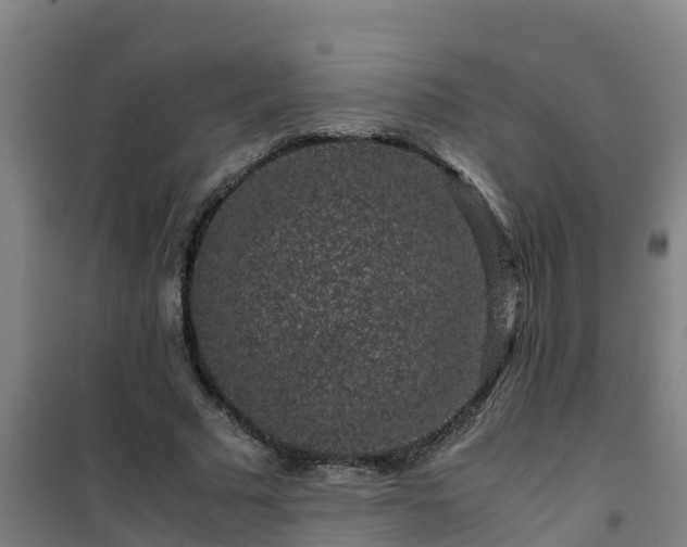 X0000101100681200807031751