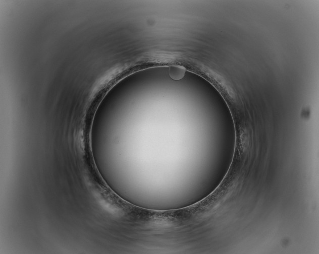 X0000101100682200807031751