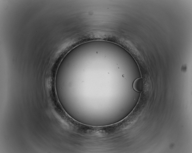 X0000101100683200807031751