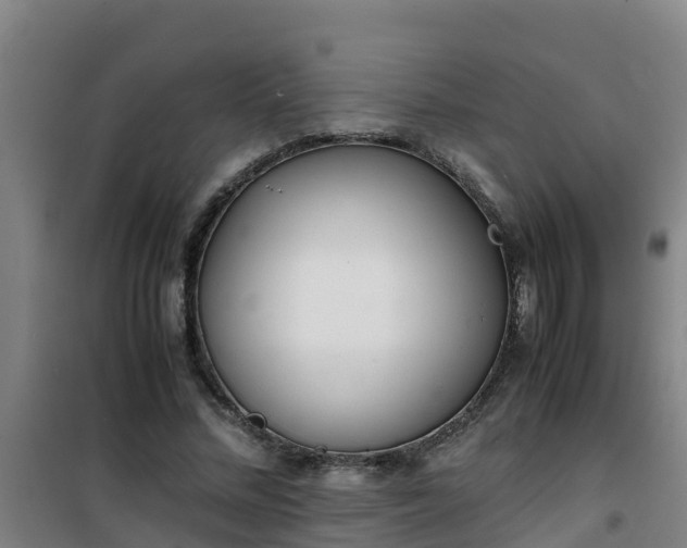 X0000101100684200807031751