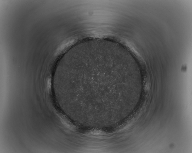 X0000101100685200807031751