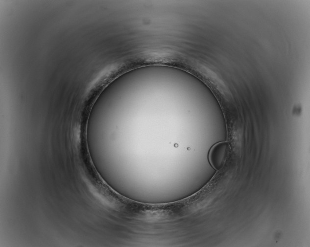X0000101100686200807031751