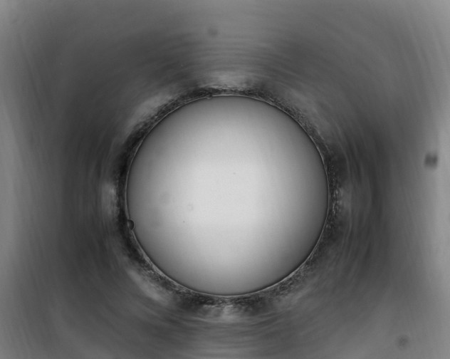X0000101100688200807031751