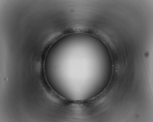 X0000101100690200807031751