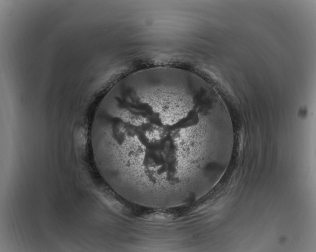 X0000101100691200807031751