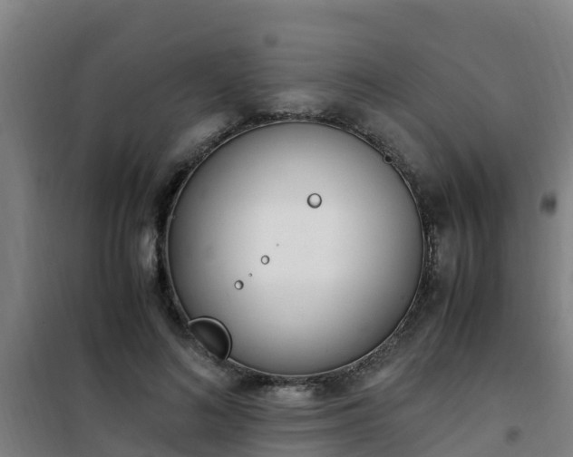 X0000101100692200807031751
