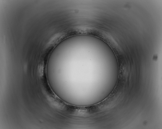 X0000101100694200807031751
