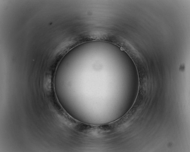 X0000101100696200807031751