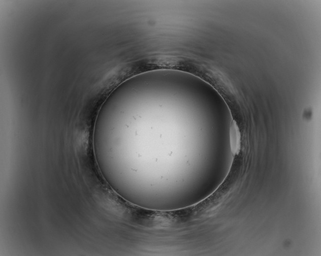 X0000101100697200807031751