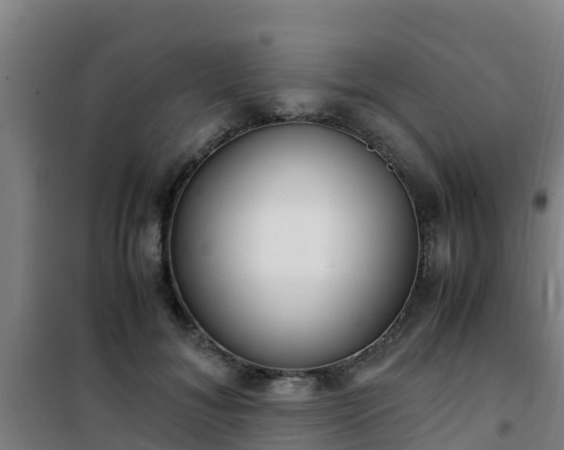 X0000101100700200807031751