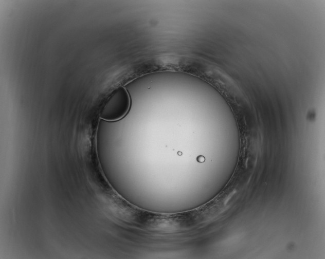 X0000101100702200807031751